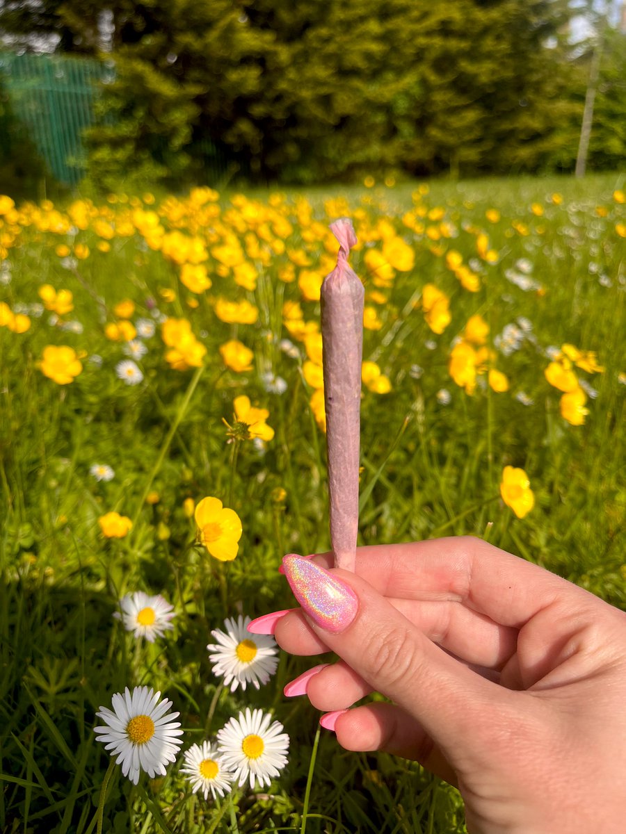 I love spring sesh’s 💛☀️🌼🐝
