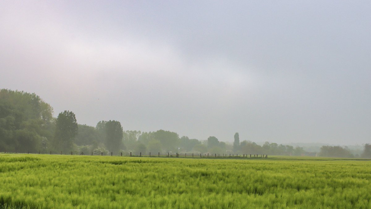 RyckmansNoel's tweet photo. #vrtweer #henis 8u25 https://t.co/Nmn9lrDlbP