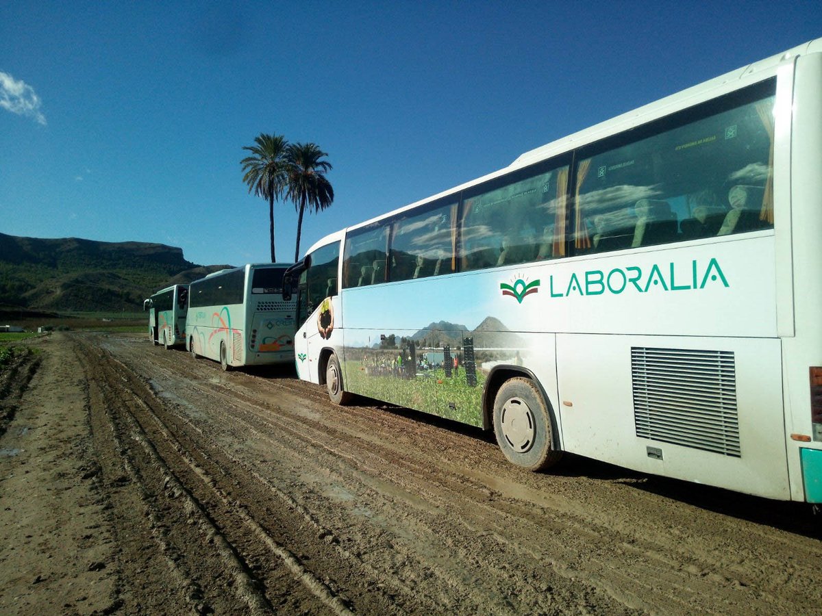 Hoy es San Isidro, patrón de los agricultores. Por ello queremos recordar a nuestros agricultores, en especial a aquellos que usan el servicio de transporte de trabajadores Laboralia, nuestra empresa dedicada al transporte de empleados. ¡Feliz día!
#SanIsidro2023 #laboralia