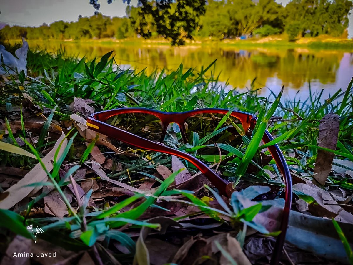 divingdeeply's tweet photo. Just chillin' on the grass and soaking up the forest vibes..!! 🌿🌴🌊 https://t.co/TFk53bRKFZ