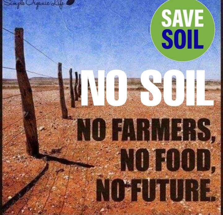 Elsa18041964's tweet photo. Soil is the basis of existence on earth. Let's show our responsability. #SaveSoil #ConsciousPlanet @ejsoilscience @europaverde_it @Antonio_Tajani @antonioguterres @TimmermansEU @AgricolturaNews @SlowFoodItaly https://t.co/CXLPM1VXEk