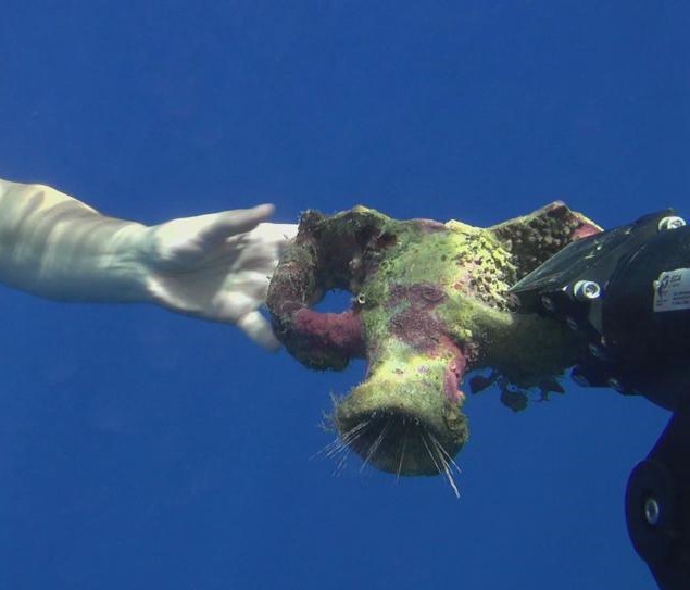 The Haifa Center for Mediterranean History (HCMH) tweet media