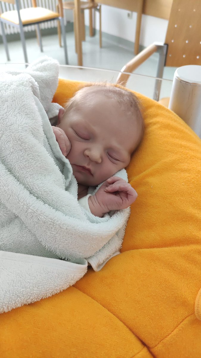 Hisham 🇵🇸 tweet media