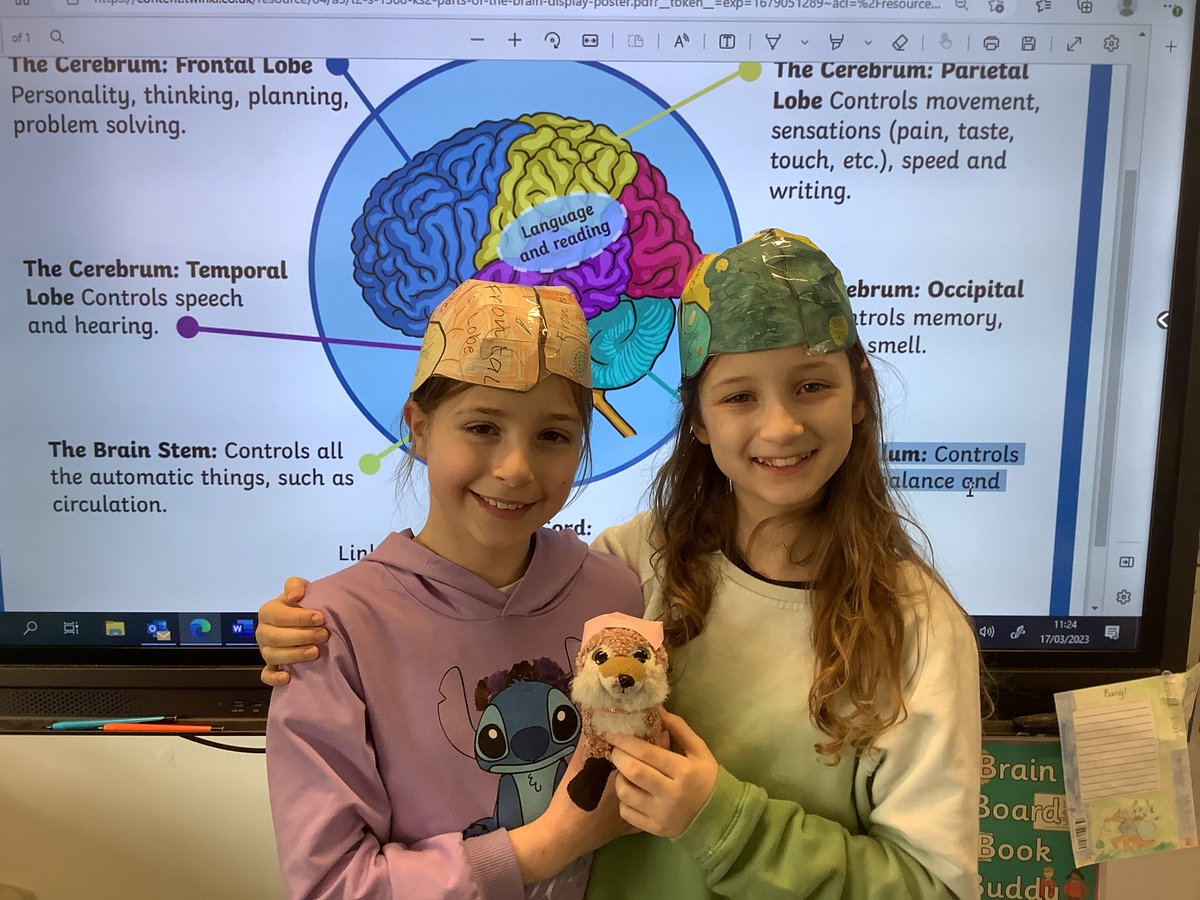 BpsClassOf2024's tweet photo. We learnt about the different parts of the brain! 🧠 @BroomhousePs https://t.co/54DOfkxwPg
