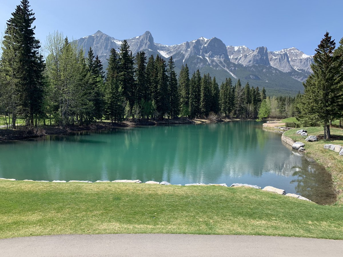 Prof Tasha Stanton tweet media