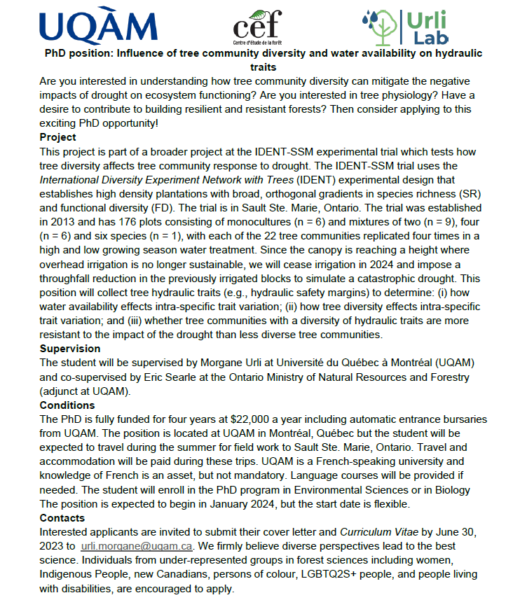 Urli Lab tweet media