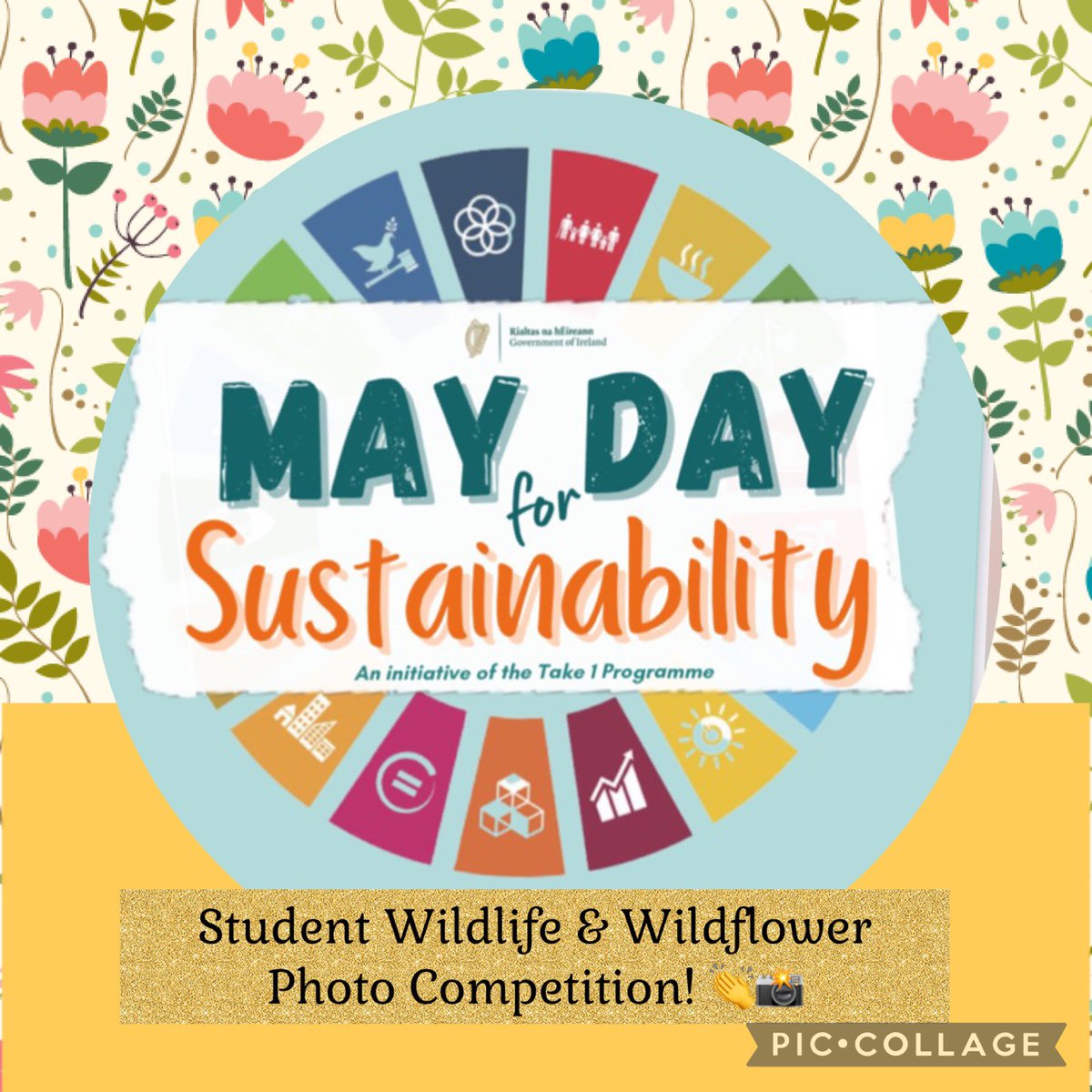 ColaisteB's tweet photo. @Take1_Programme some highlights form our photo competition! #maydayforsustainability #etb_sdgs https://t.co/pontbJOckd
