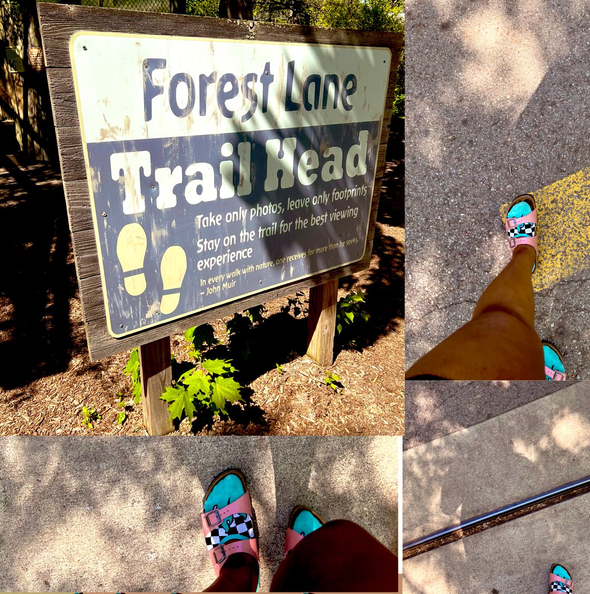MistressCocoaxo's tweet photo. Oink oink Losers went to the zoo. Was hella tired but had fun. I accidentally fell asleep 
Findom | feet | ebony | goddess | drain | tribute | paypigs https://t.co/Wil07GpVcC