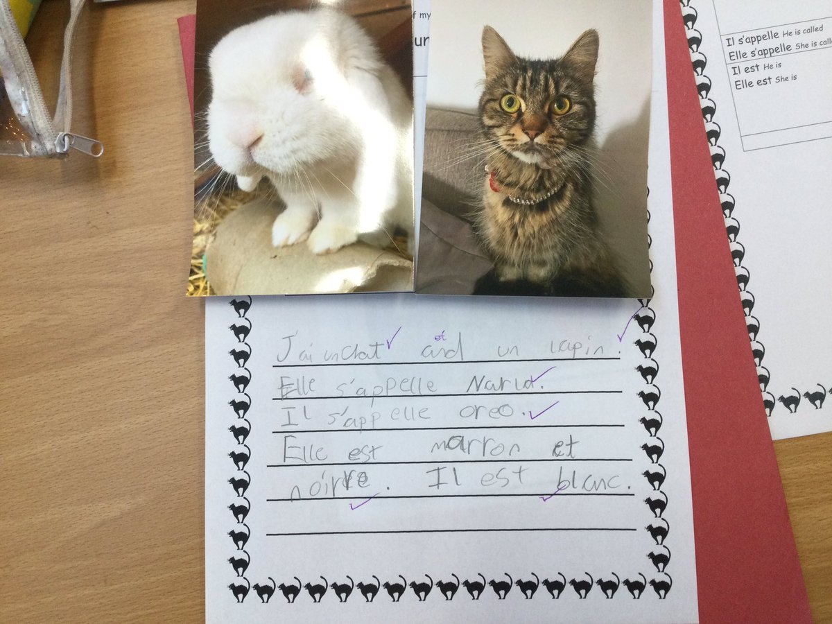 BHAInternationl's tweet photo. Yr3 have been perfecting their speaking &amp; writing skills in French by describing their pets. We combined prior learning (colours) with new learning (words for pets) to create short descriptive sentences. Take a look at their #remarkable work. @BHA_TQ @BhaYear3 @AETAcademies https://t.co/wmyNRdJ6Si