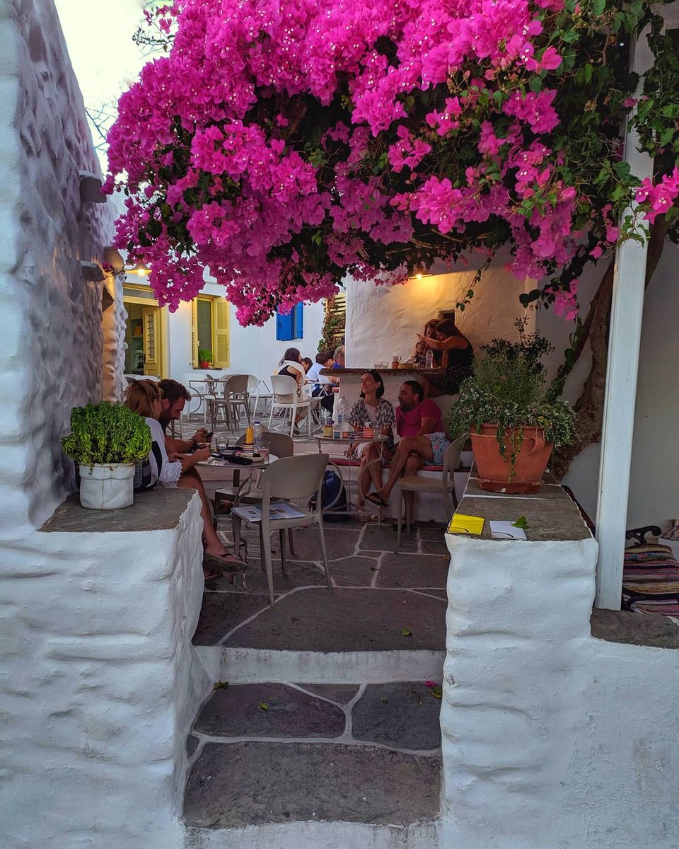 Under the vibrant colorful flowers… enjoying life on #Sifnos #Island!

sifnos.gr

📷: Manos (instagram.com/mananastasakis)

#visitsifnosisland #visitsifnos #GEM #beach #weddings #honeymoon #paths #hiking #visitgreece #greece #cyclades #Σίφνος #Ελλάδα #Artemonas