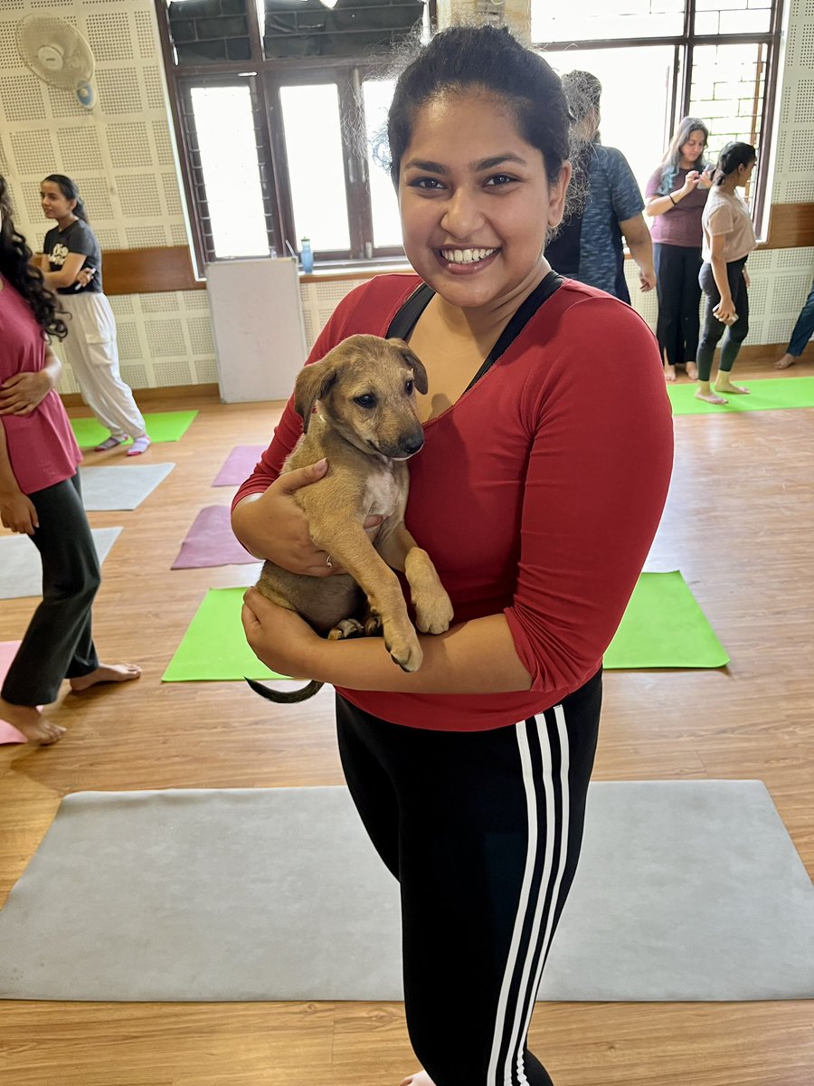 wordsofworth7's tweet photo. Puppy Yoga Time! 

Pawasana has given the popular yoga format with pups a genuine and thoughtful upgrade by tying in the cause of getting rescued Indie pups adopted via the sessions and I absolutely love that. 
#puppyyoga #dogs #yoga #pups https://t.co/21ufSK2I76