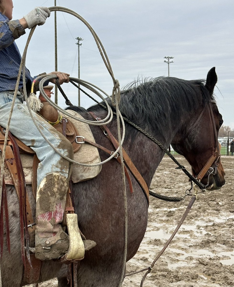 Mona Howe tweet media