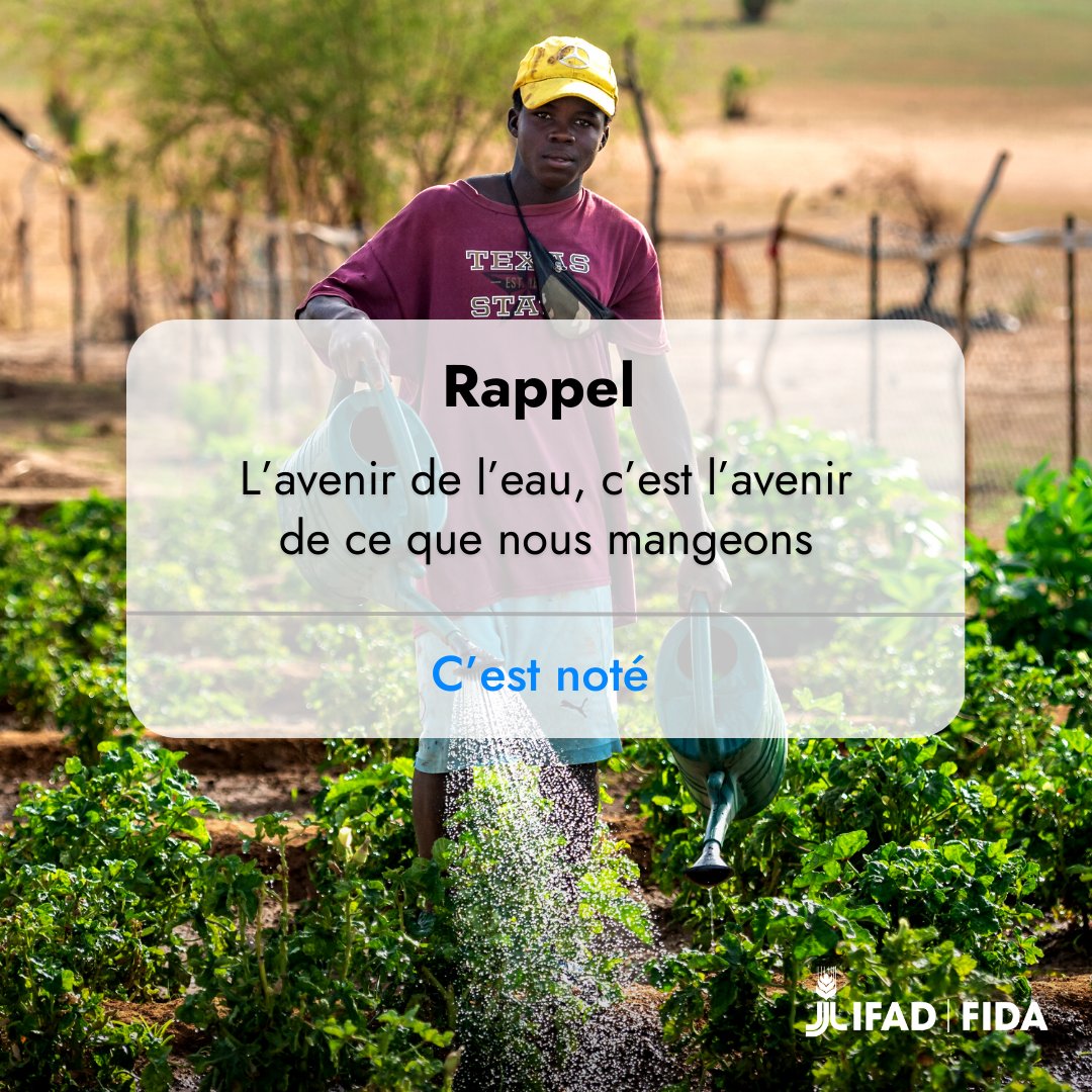 leFIDA's tweet image. ⚡ Les #SystèmesAlimentaires mondiaux requièrent d'énormes quantités d'eau. 

Pour être efficaces et économes, une utilisation plus mesurée des ressources est indispensable 💧