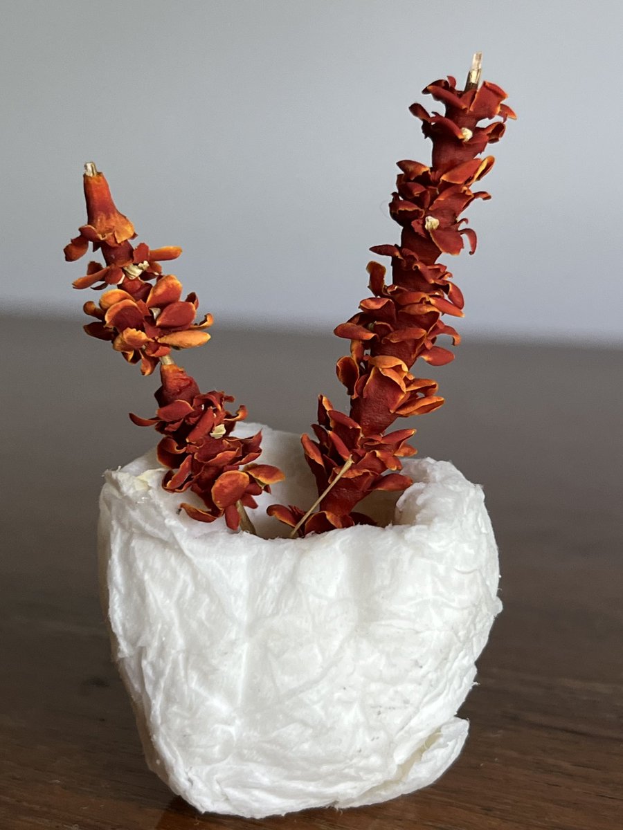 Paper-napkin pulped to be made a vase. Flowers from IIC garden stringed together with a dry leaf stem. Artist: Misuni.