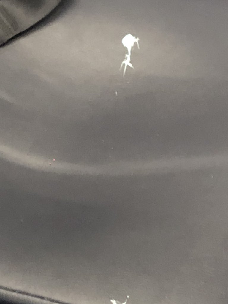 AMAR JULURI tweet media