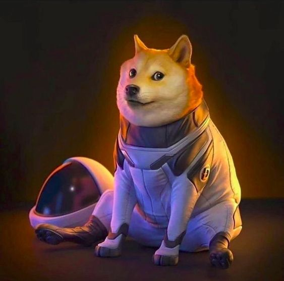DOGE's got its sights set on the stars and is ready to blast off into space! 🚀🐕🌟

Looks like our favorite meme coin is taking its space exploration to the next level! 

#DOGE #SpaceBound #ToTheMoonAndBeyond