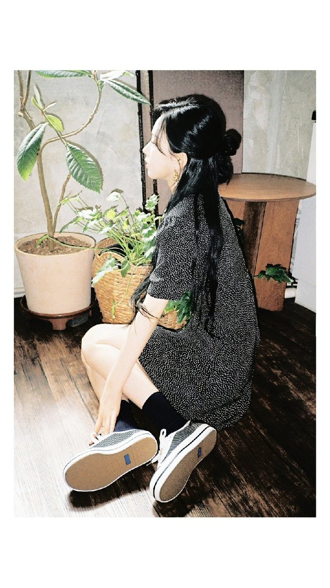 ¿Tienen alguna canción que los haga sentir melancólicos? Ultimamente he estado en este tipo de canciones, me gustaría conocer qué canciones les gusta a MY. Me he tomado estas fotos en este sentimiento. 🌼

꒰꒰  𝕡𝚘𝚕ᥲroi𝕕   ◟˚⠀ 𝔷𝑜𝑜 ⠀༚.° ⠀◌⠀