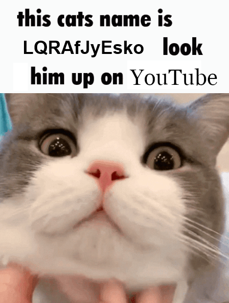 SocDoneLeft's tweet image. As a vegan, I'd be fine with this!

Industrial animal agriculture is monstrous.

At the industry's demand, many countries outright *ban filming* of slaughterhouses and feedlots.

That's because it's horrifying.

If you want to see what they're trying to hide from you: LQRAfJyEsko