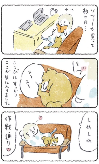 あれからソファ気に入っちゃって! っておはなし〜💃 ●→