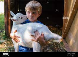 SensibleRalph's tweet image. Thanks to my furry friends, today was well met. Perhaps Starling Farms should offer goat therapy? It does wonders for my own heart! #Sanditon #WillingenHasGoats
#PetsAreFamily