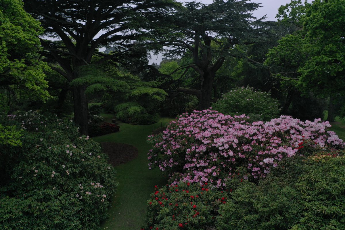 Marie-Louise Agius tweet media