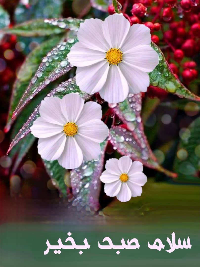 AlayKhosro's tweet photo. https://t.co/QuJFtNhVdy