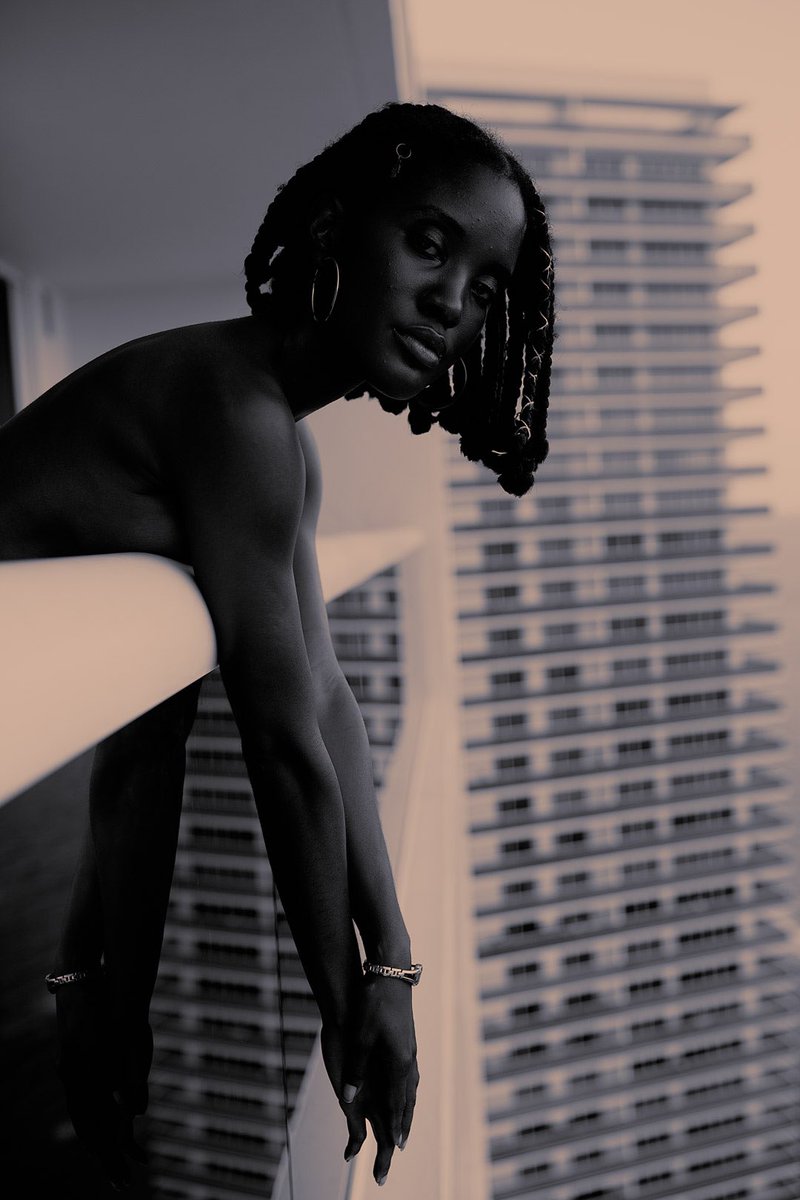 barry on the daly tweet media