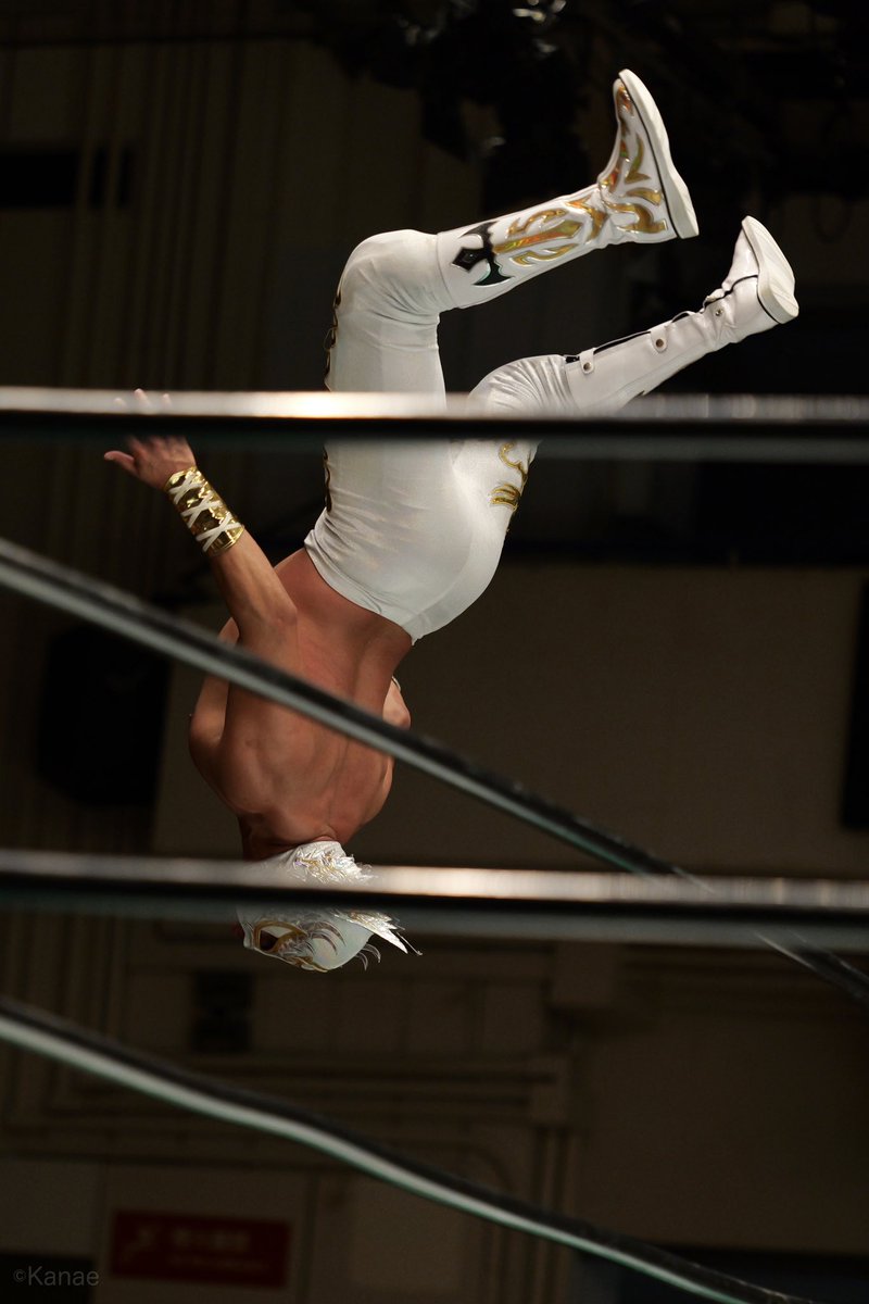 nekoron27's tweet photo. 2023.5.14 後楽園ホール
#noah_ghc 
#ランセロット https://t.co/wT0sAs4cv9