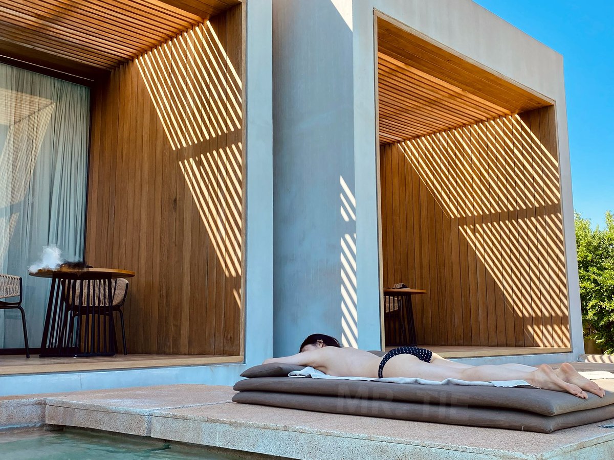 Mr.Tie’s 🐶 tweet media