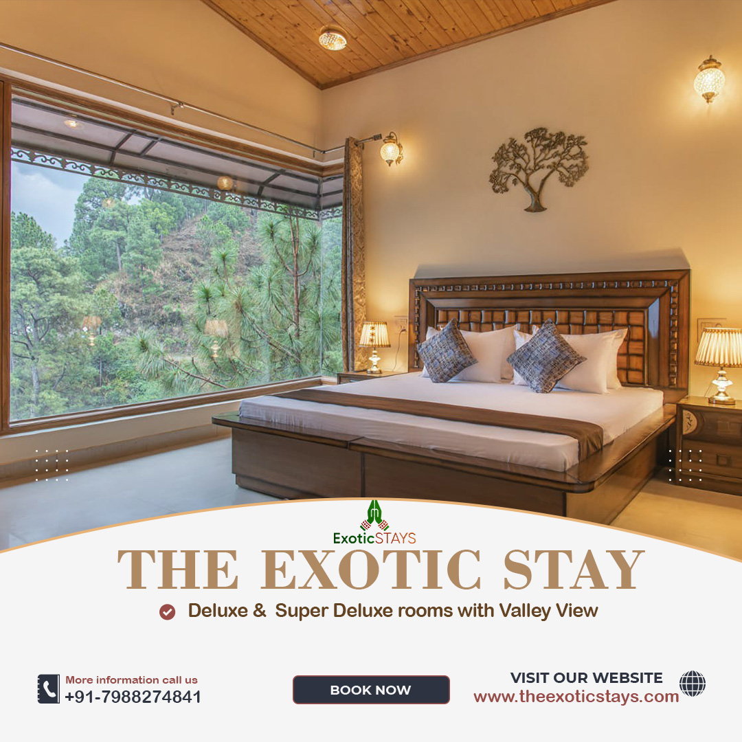 Call us at 945-969-4714
Email: info@theexoticstays.com
Website: theexoticstays.com
#himachal #unforgettablehimachal #hotelroyal #explore #food #vacation #hospitality #nature #hills #summer #travelgram #photography #oneofakind #budgethotel #theexoticstays 📷