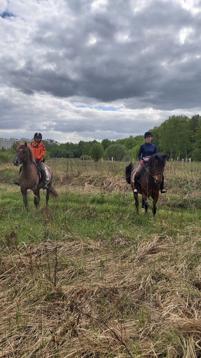 Марья tweet media