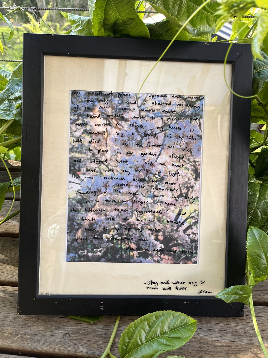 samantha lee curran (she/her) tweet media