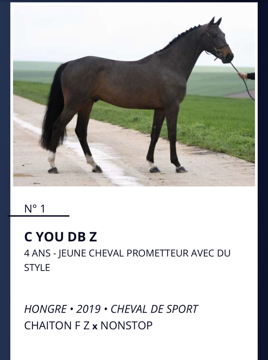 Cheval Sport Élite tweet media