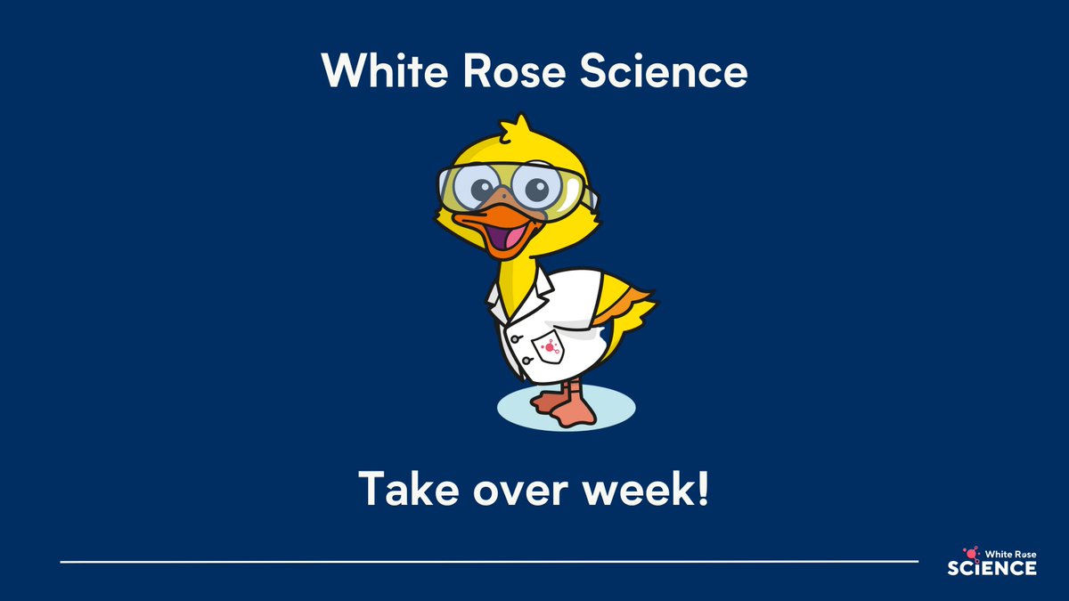 White Rose Education on Twitter: 