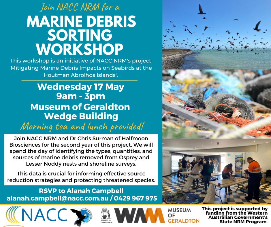 NACC (@nacc_nrm) on Twitter photo Have you booked in for our Marine Debris Sorting Workshop?
This workshop will focus on identifying types, quantities & sources of marine debris removed from nests on the Houtman Abrolhos Islands.
Contact Alanah at alanah.campbell@nacc.com.au or 0429 967 975 to register! Have you booked in for our Marine Debris Sorting Workshop?
This workshop will focus on identifying types, quantities & sources of marine debris removed from nests on the Houtman Abrolhos Islands.
Contact Alanah at alanah.campbell@nacc.com.au or 0429 967 975 to register!