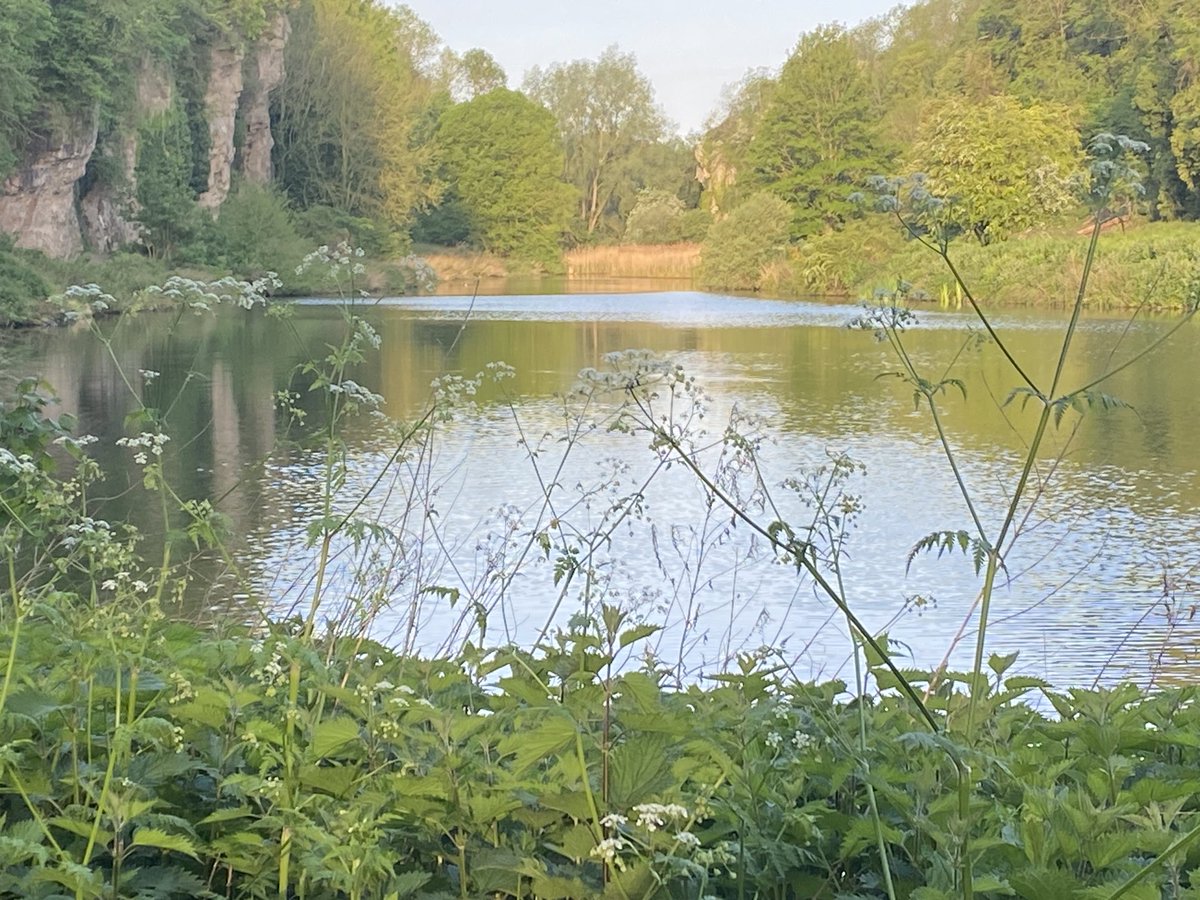 dotty27's tweet photo. ⁦@CreswellCrags⁩ 6.30am. This view is so beautiful in the morning light 🦣🦣 https://t.co/JrxYwxoO38