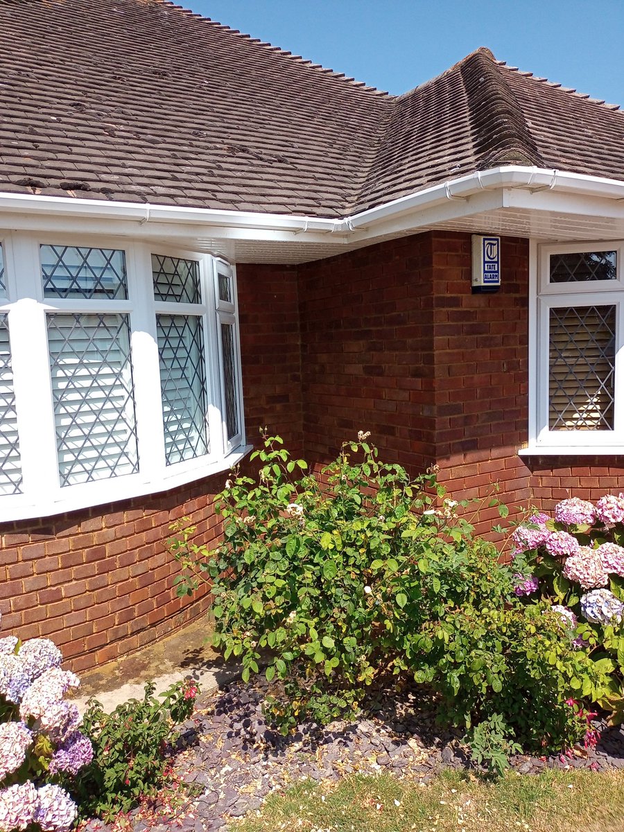 WRepointing's tweet photo. Finished repointing one side of a bungalow in Ferring, West Sussex. Full dust extraction service included to keep dust to an absolute minimum. https://t.co/XoYzlkrSeW