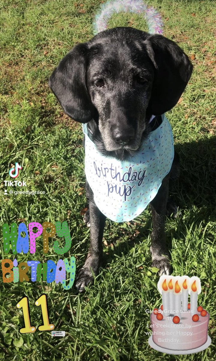 Well, I turned 11 today. Who wants to wish me Happy Birthday?  Go!