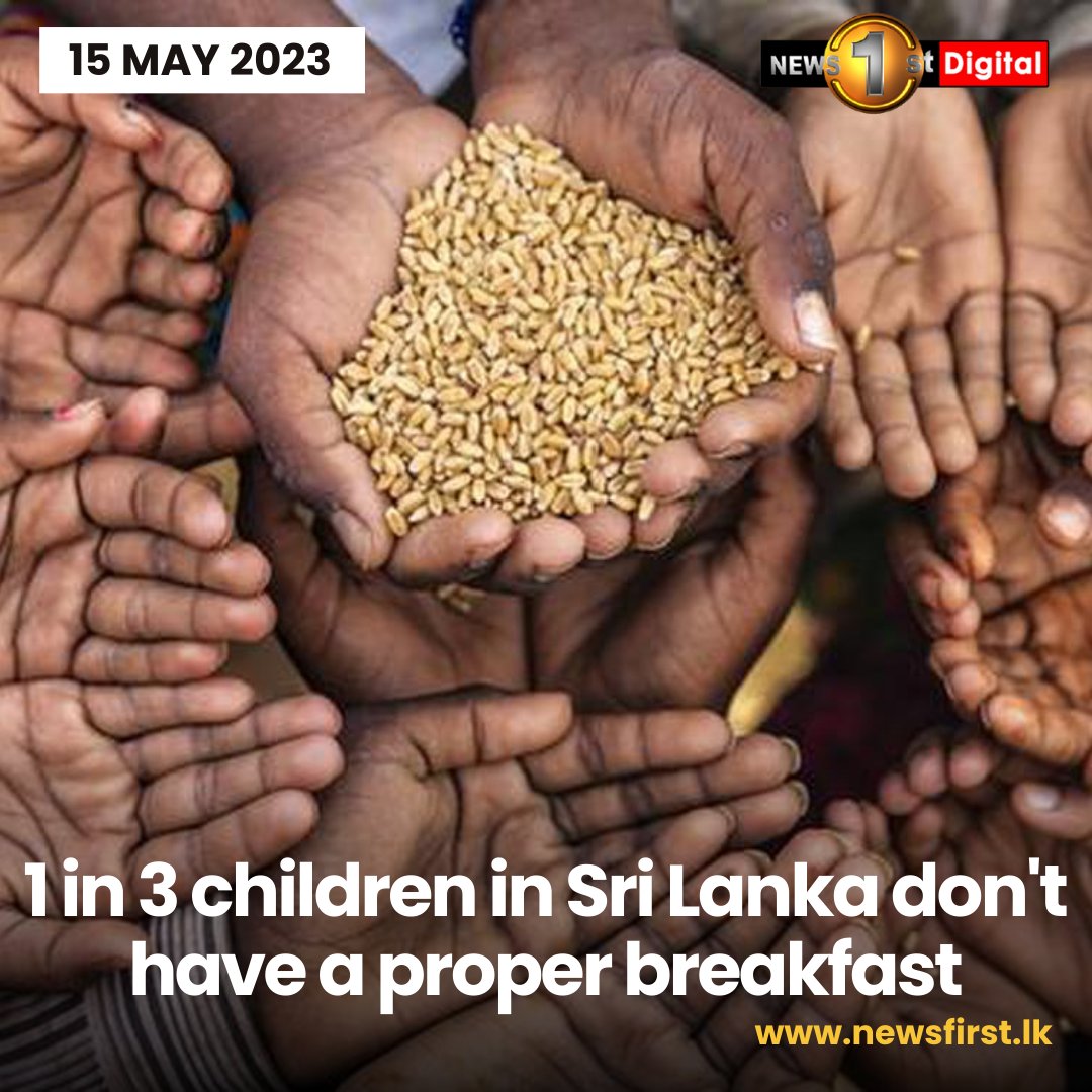 One in three children in Sri Lanka don't have a proper breakfast

Details: news1st.lk/42CtCaX

#SriLanka #Education #ChildhoodMalnutrition #FoodCrisis #BreakfastForStudents #FutureWorkforce #HealthImpact