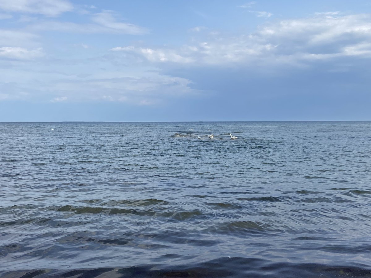 Guten Morgen und einen guten Start in die neue Woche wünsche ich Euch von der Insel Rügen