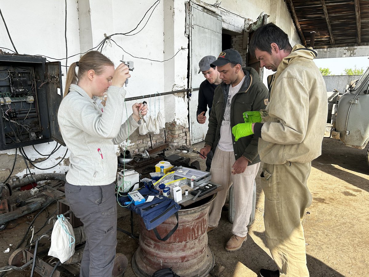 Sparrow wrangling in Kazakhstan with @ruthfawthrop @Mark_Ravinet @Pacheco_Evo and Yuri