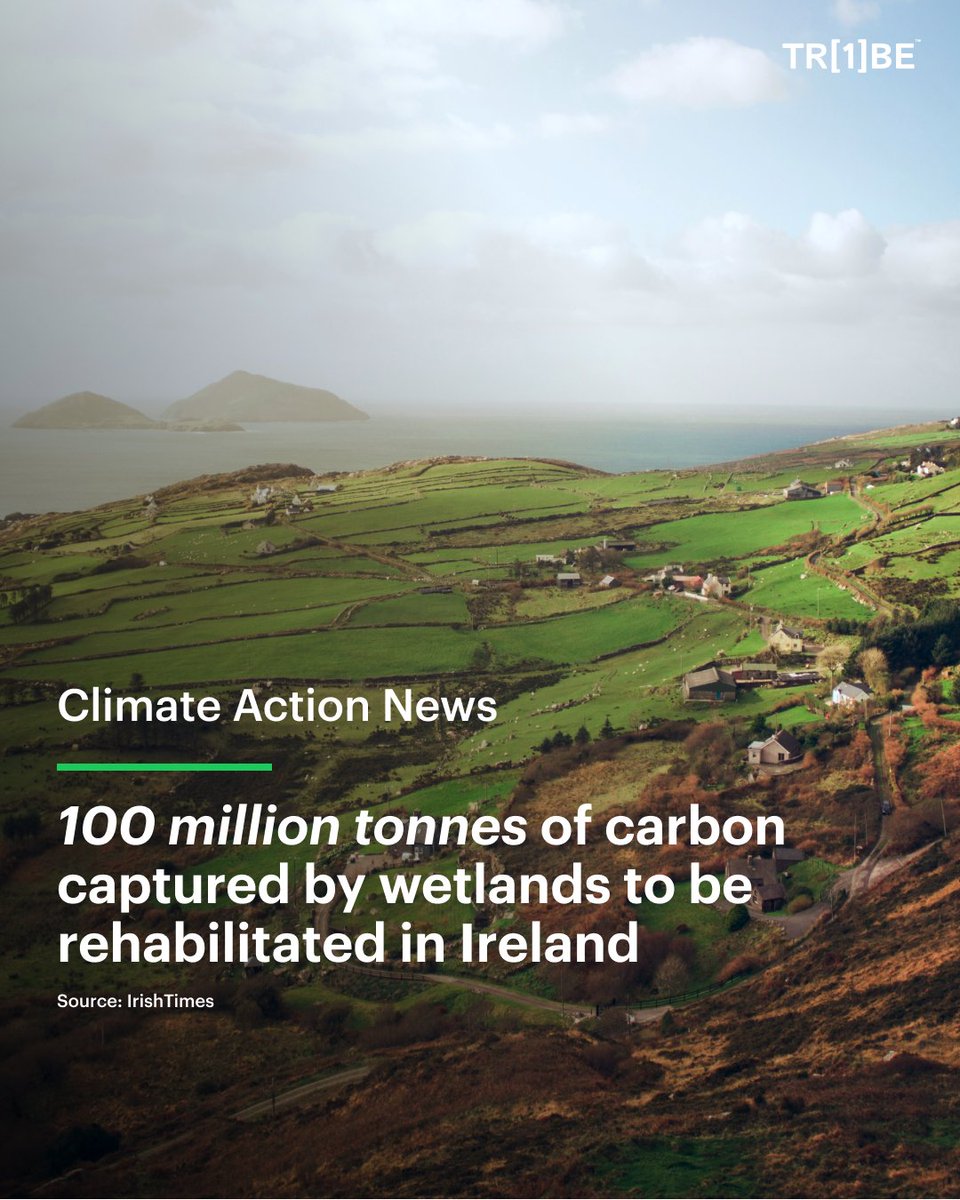🌱 Ireland is heading towards a more sustainable future by re-wetting thousands of acres of peatland! 

After losing over 75% of its wetlands, the country aims to return to its natural landscape as a valuable wildlife habitat and carbon sink.

#irelandnews #peatlandrestoration