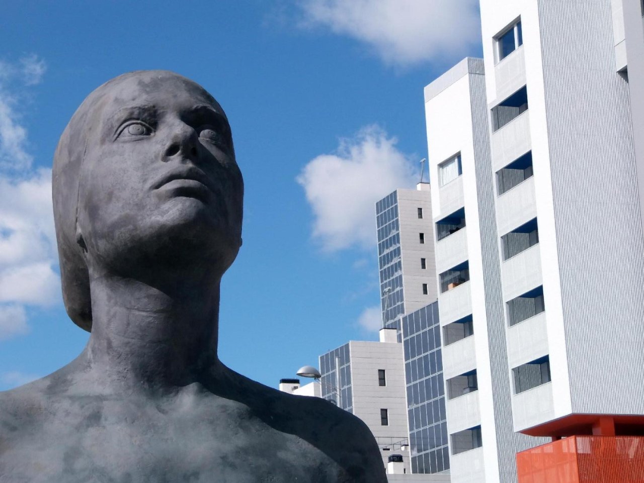 Foto cedida por Ayuntamiento de Coslada