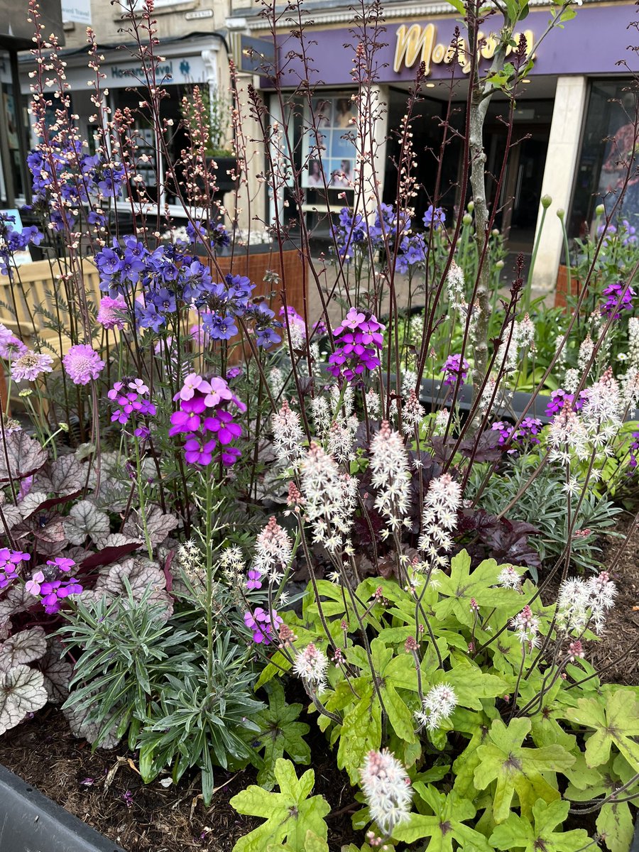 BIG Community Grow tweet media