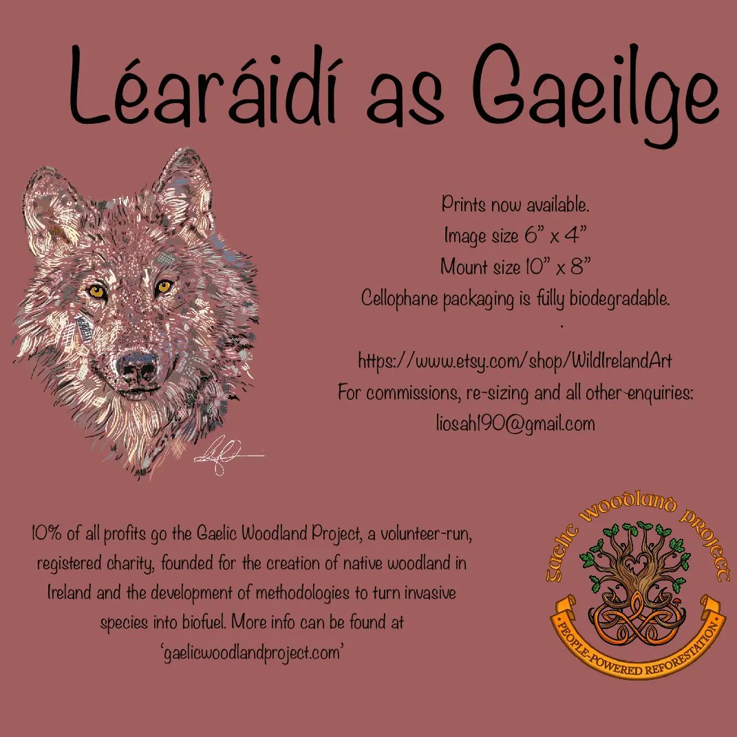 🍀Prints now available to purchase in my etsy shop🍀
Shop 'mounted prints'.
etsy.com/ie/shop/WildIr… 
10% of profits will go to the <a href="/GaelicWoodland/">Gaelic Woodland Project</a> project, a volunteer-run, registered charity who's vision is close to my heart. 
Go raibh míle maith agaibh a chairde.
Grá mór,
Lisa