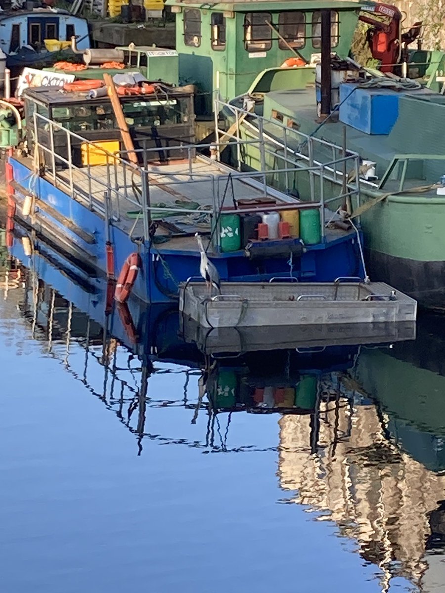 Mrs Earnshaw tweet media