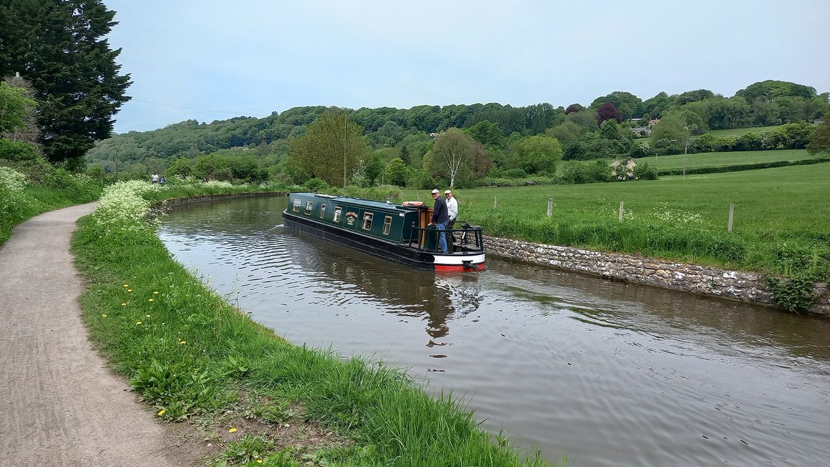 Rachel Goodfellow tweet media