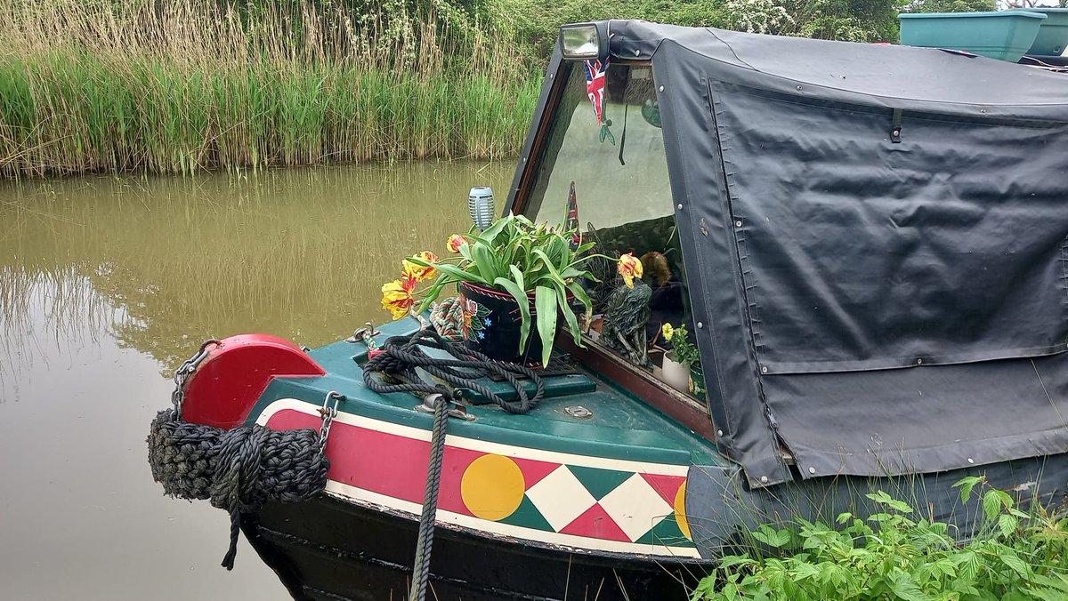 Rachel Goodfellow tweet media