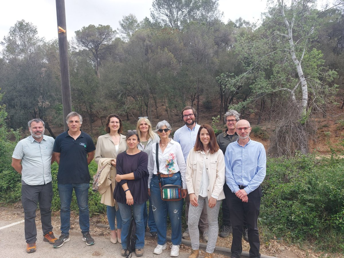 Visitem treballs forestals en 1 de les 5 finques de la #provapilot d mercat #CreditClimatic a #Collserola, amb els actors implicats, claus per l'èxit del projecte #TúnesBarcelona-Cadí <a href="/parcncollserola/">Parc Natural de Collserola</a> <a href="/joseprosas1/">Josep Rosàs</a> <a href="/Forest4_/">Forest4</a> <a href="/EMDValldoreix/">EMD de Valldoreix</a> <a href="/ajsantcugat/">Aj. Sant Cugat</a> <a href="/accioclimatica/">Assemblea d'acció climàtica</a> <a href="/bomberscat/">Bombers</a>