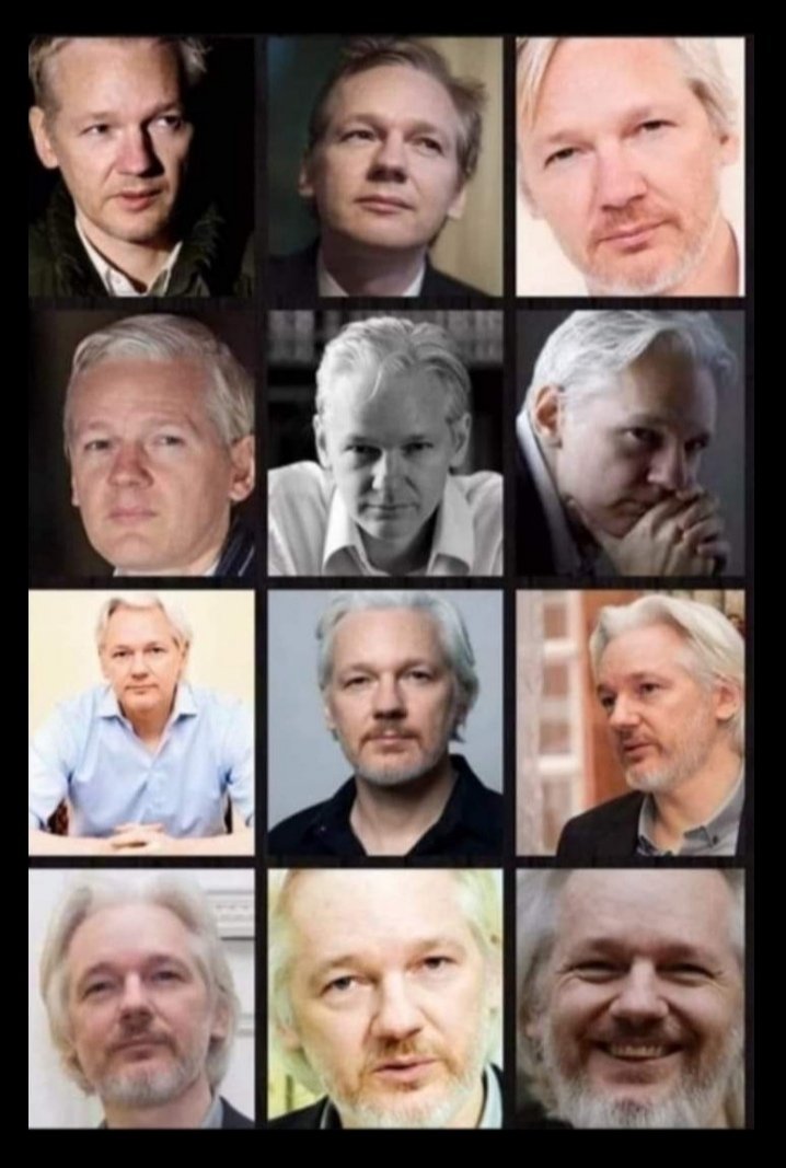 May all beings visible, invisible & secret that can come forth to #SaveAssange stopping this undemocratic horror of torturing this innocent, dignified, good man & his family do so right now #FreeAssange #NoExtradition #JournalismIsNotACrime #DropTheCharges #WeAreAllAssange